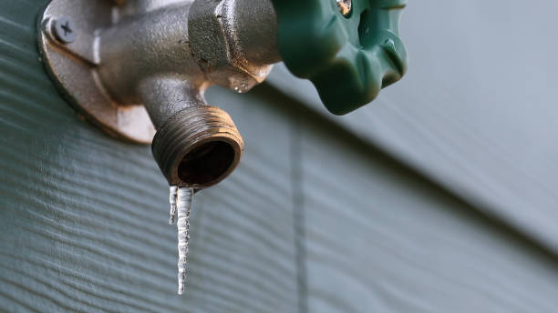 Best Plumbing Inspection Services  in Bergenfield, NJ